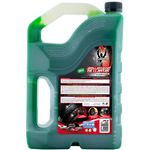 Abrillantador-Llantas-Ebullient-4100-Ml-4-8139