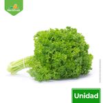 Perejil-En-Manojo-2-84