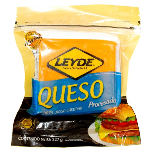 Queso Leyde Procesado -226gr