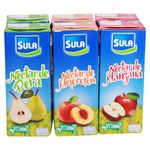 Nectar-6-Pack-Sula-200Ml-1-8694