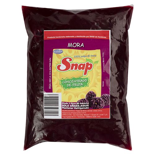 Concentrado Fruta Snapp Mora - 500Gr