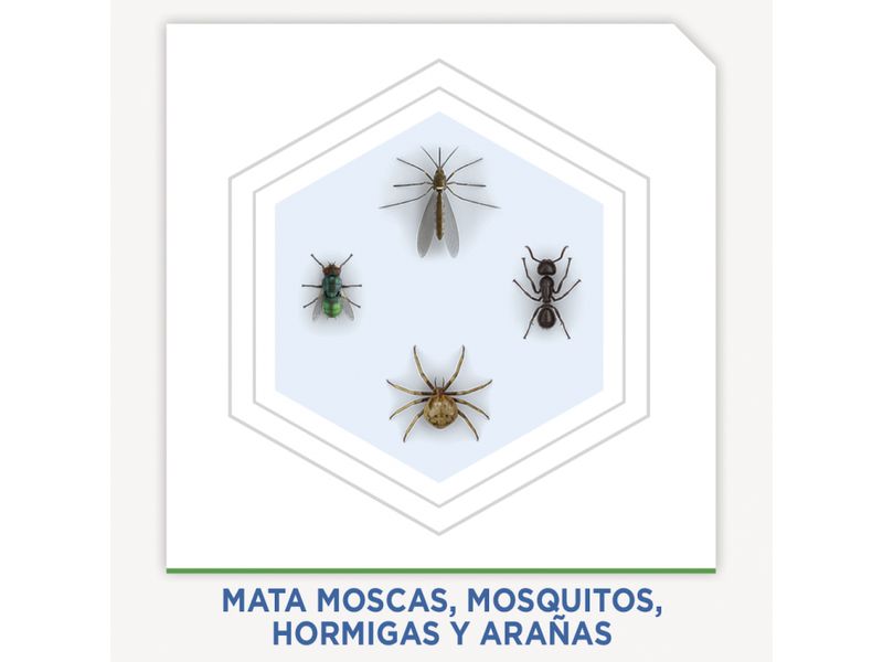 Insecti-Raid-Aerosol-Casa-Y-Jardin-400Ml-4-11630