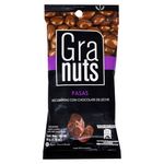 Pasa-Cubierta-Con-Chocolate-Granuts-40Gr-1-12996
