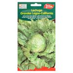 Semilla-Eurogarden-Lechuga-Grades-Lagos-1-13950