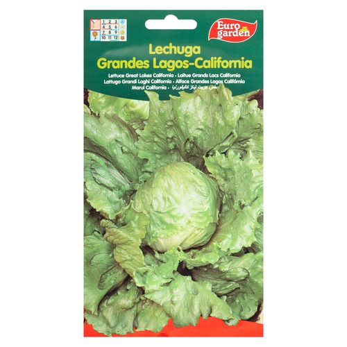 Semilla Eurogarden Lechuga Grades Lagos