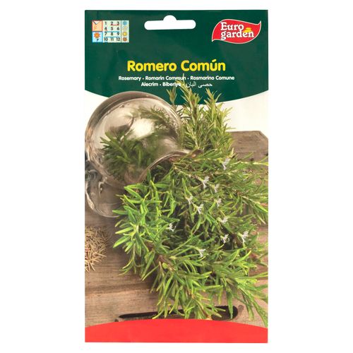 Semilla Eurogarden Romero Comun