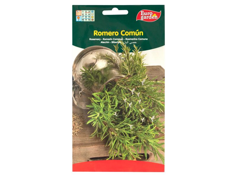 Semilla-Eurogarden-Romero-Comun-1-13958