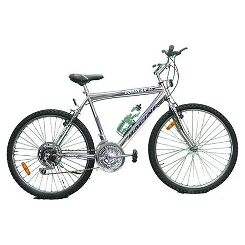 Bicicleta Montañera Bacini Popular -24 Variedad