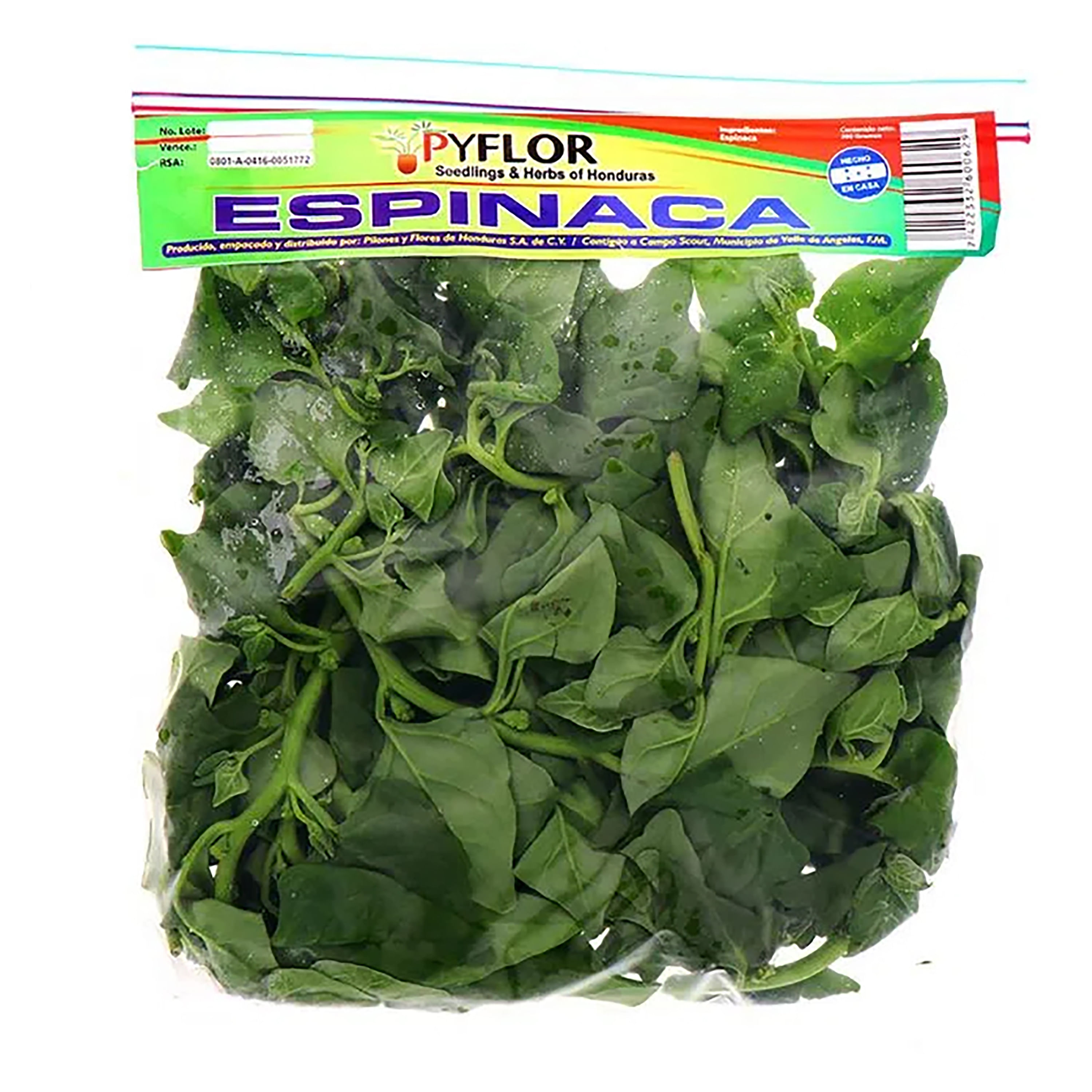 Espinaca-Pyflor-Unidad-1-9390