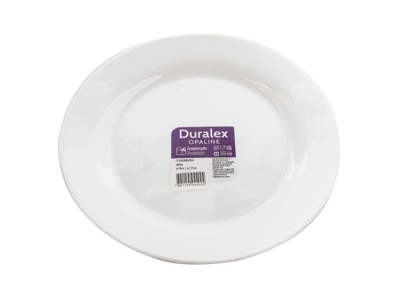 Plato-Menu-Llano-Nadir-24-Cm-1-13736