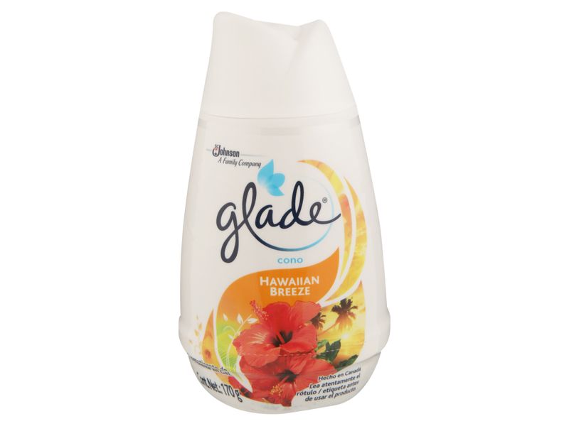 Cono-Hawaiian-Breeze-Glade-170-G-1-1993