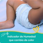 Panal-Pampers-Baby-Dry-Talla-5-Jumbo-24U-4-1614