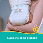 Panal-Pampers-Baby-Dry-Talla-5-Jumbo-24U-9-1614