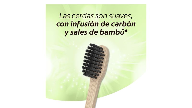 PRUVADE Paquete de 144 cepillos de dientes desechables de bambú con pasta  de dientes incorporada, cepillos de dientes prepegados envueltos – Yaxa  Colombia