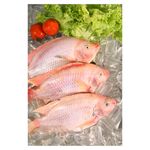 Tilapia-Pesca-Fresca-Roja-Sin-Escama-Abc-Fresco-Granel-Lb-2-5766