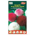 Semilla-Eurogarden-Margarita-Prados-1-13955