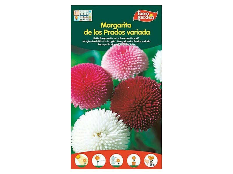 Semilla-Eurogarden-Margarita-Prados-1-13955