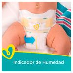 GTIN-0037000749615-03