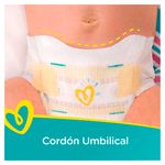 GTIN-0037000749615-06