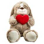 Spark-Create-Imagine-Osoperro-1M-Corazon-1-19434