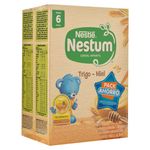 2Pack-Nestum-Trigo-Miel-400-Gr-2-22857