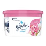 Mini-Gel-Floral-Glade-70gr-2-11583