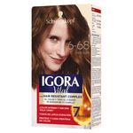 Kit-Tinte-Igora-Vital-6-68-Chocolate-50ml-1-20778