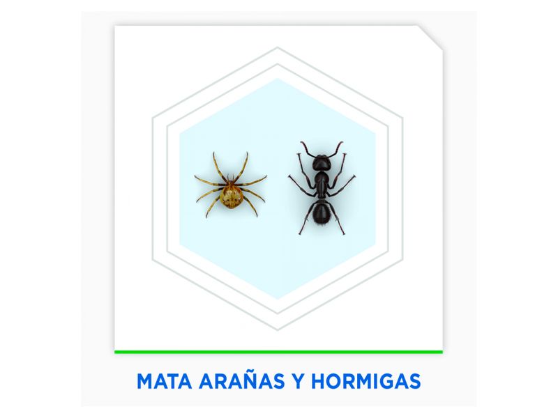 Insecticida-Raid-Mata-Hormiga-y-Ara-a-400ml-4-22458