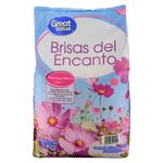 Detergente-Great-Value-Brisas-Del-Encanto-3000gr-1-10769
