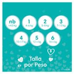 Pampers-Baby-Dry-S3-168-Und-3-1596