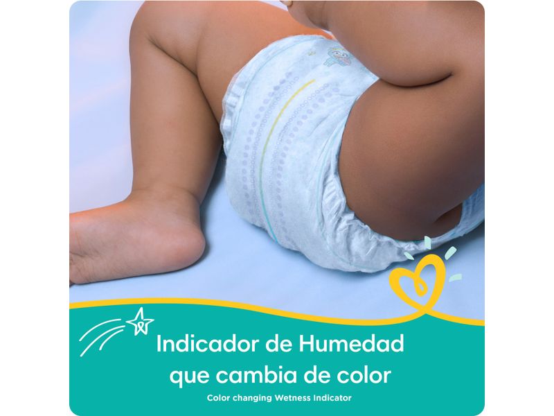 Pampers-Baby-Dry-S3-168-Und-6-1596