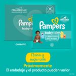 Pa-ales-Pampers-Baby-Dry-S5-112-Unidades-11-1622