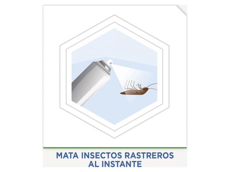 Insecticida-Raid-Protec-Insectos-Rastreros-400ml-5-22846