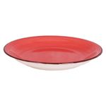 Plato-Plano-De-Loza-10-5Plg-2-18653