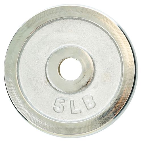 Disco De 5 Lbs