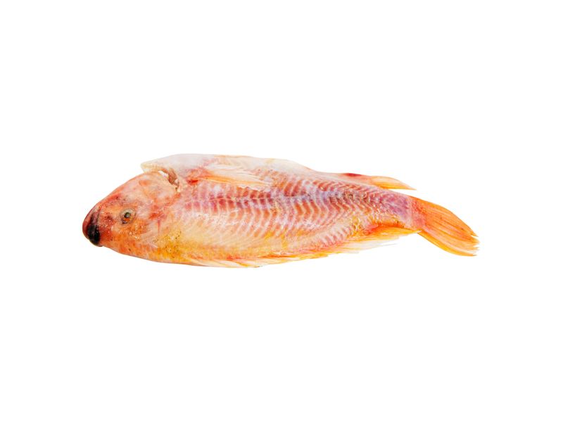 Tilapia-Roja-Mym-Congelado-Grande-Lb-2-5851