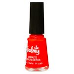 Valmy-Esmalte-De-Color-Endurecedor-14-Ml-3-20718
