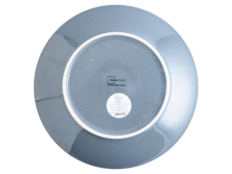 Plato-Plano-Gris-10-5-Plg-4-18555