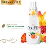 Suavizante-Concentrado-De-Telas-Downy-Granada-Y-Vainilla-750Ml-6-11272