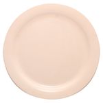 Plato-Principal-B-Best-Melamine-1-19644