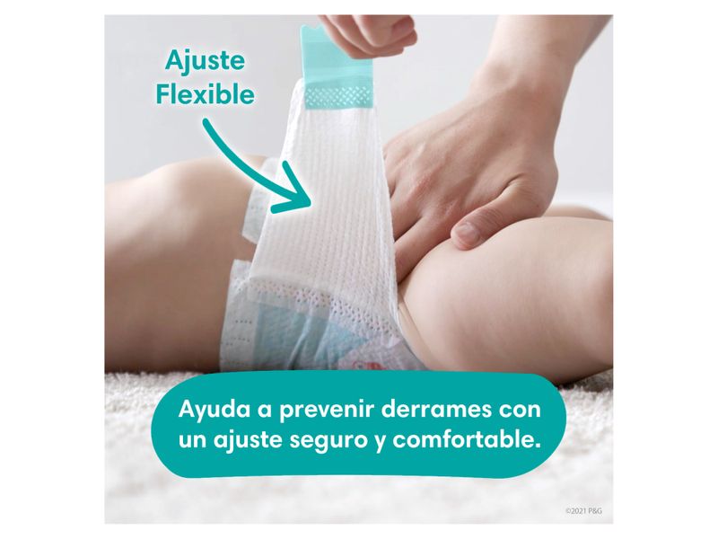 Pa-ales-Pampers-Baby-Dry-S5-112-Unidades-5-1622