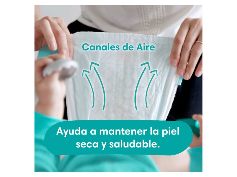 Pa-ales-Pampers-Baby-Dry-S5-112-Unidades-6-1622