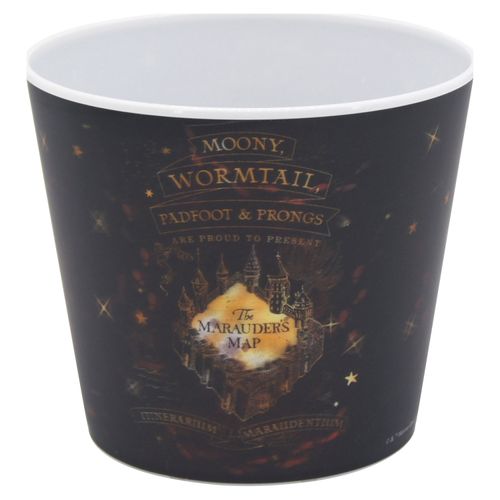 Recipiente plástico Harry Potter Modelo:WAL01134