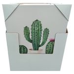 Cuadro-Mainstays-Modelo-HTM5000055S-3-18979