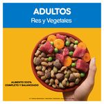 Alimento-Pedigree-Para-Perro-Adulto-21000gr-3-12392