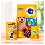 Alimento-Pedigree-Para-Perro-Adulto-21000gr-7-12392