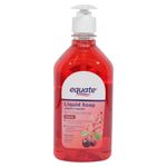 Eq-Jab-n-Liq-Antibacterial-525-Ml-Cherry-1-14955