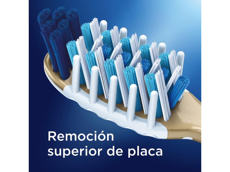 Cepillo-de-Dientes-Limpieza-Efectiva-Oral-B-7-Beneficios-2-Unidades-4-11310