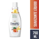 Suavizante-Concentrado-De-Telas-Downy-Granada-y-Vainilla-750ml-1-11272
