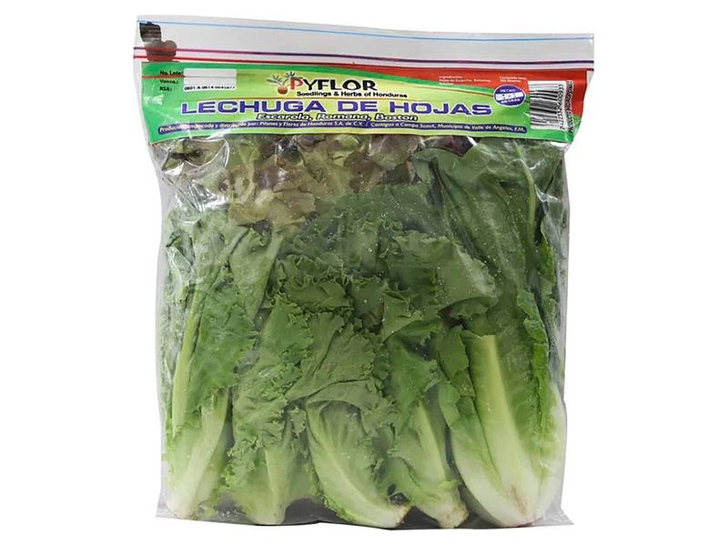 Lechuga-En-Hojas-Pyflor-1-9391